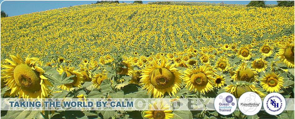 Cognitive Hypnotherapy & HypnoBirthing :: Finchley, North London :: Vikki Seaton Hypnotherapy